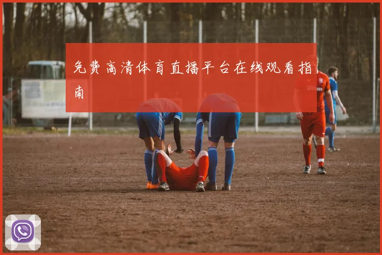 免费高清体育直播平台在线观看指南