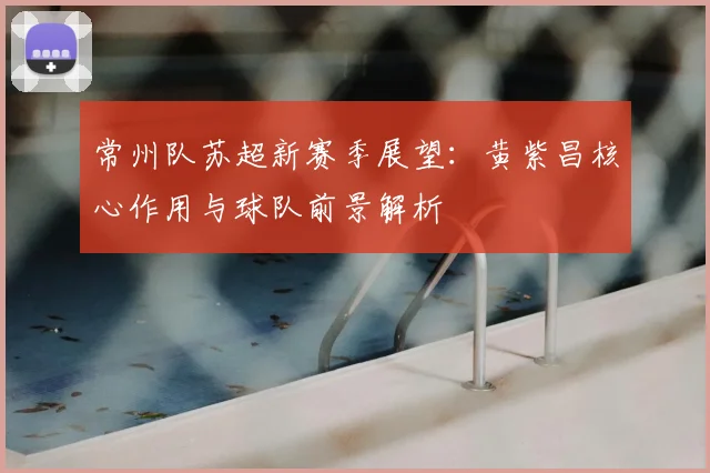 常州队苏超新赛季展望:黄紫昌核心作用与球队前景解析